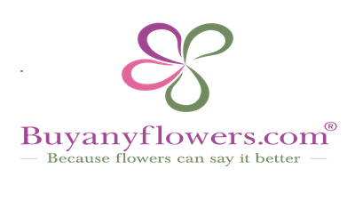 buyanyflowers buyanyflowers